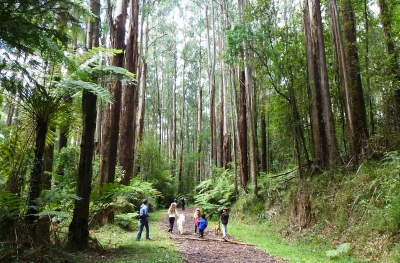 Ferny Hill Retreat, Emerald Victoria Exteriör bild